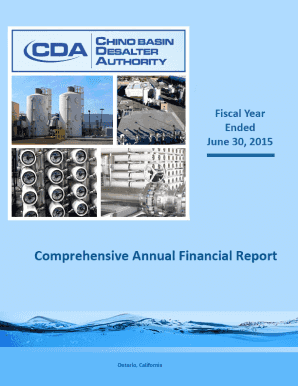 Comprehensive Annual Financial Report - bchinodesalterbborgb