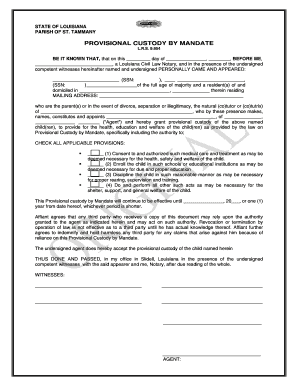 Provisional Custody by Mandate