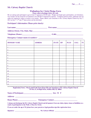 Form preview picture