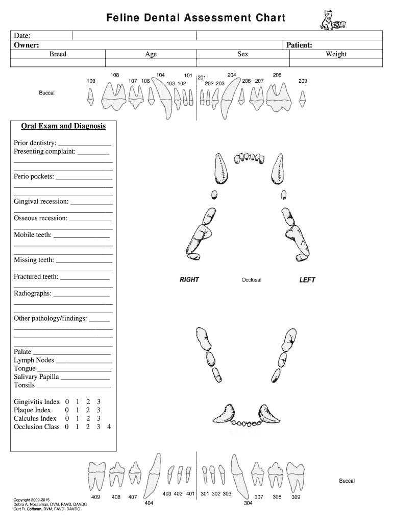 Printable Feline Dental Chart Printable World Holiday