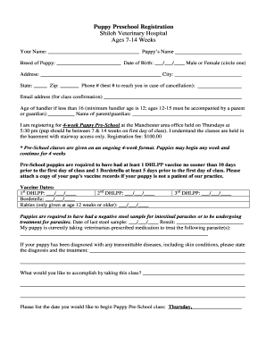 Form preview