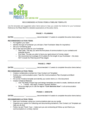 Timeline calendar template - Betsy Project - Recommended Action Items ... - The Betsy Project
