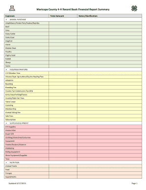 Form preview picture