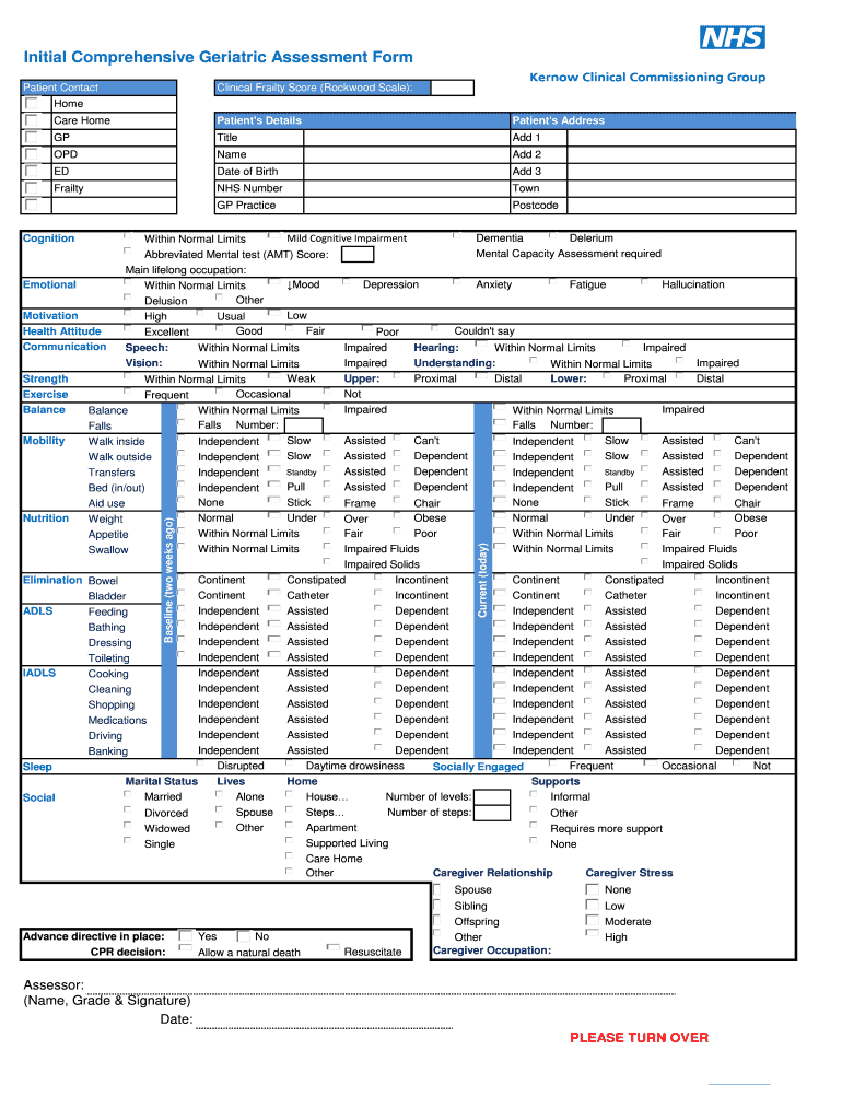 Initial Comprehensive Geriatric Assessment Form Knowledgebucket 