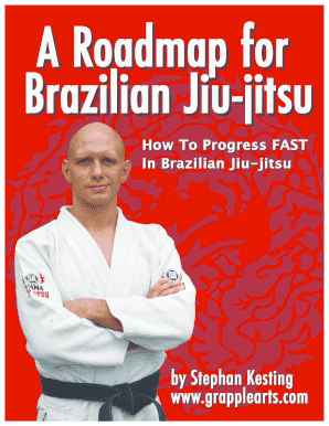 stephan kesting bjj roadmap