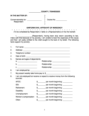 Tn affidavit of correction - IN THE COURT FOR COUNTY, TENNESSEE - tn