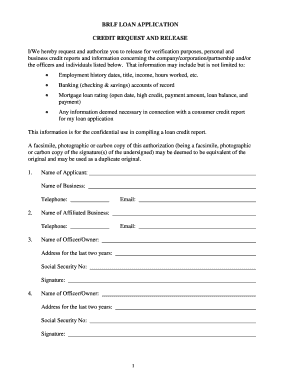 BRLF Loan Application Form