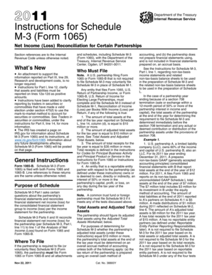 Instructions for Schedule M-3 (Form 1065)