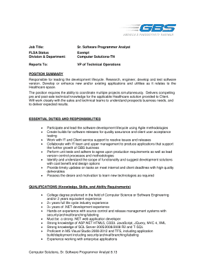 Sr. Software Programmer Analyst Job Description