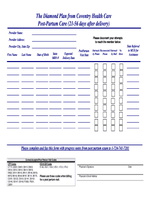 Post-Partum Care Form