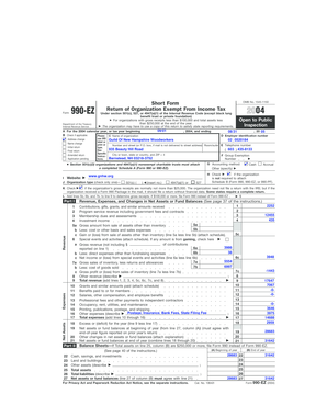 IRS Form 990-EZ 2004