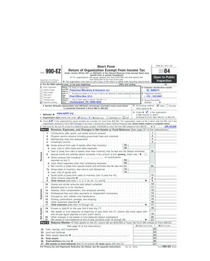 IRS Form 990-EZ 2004