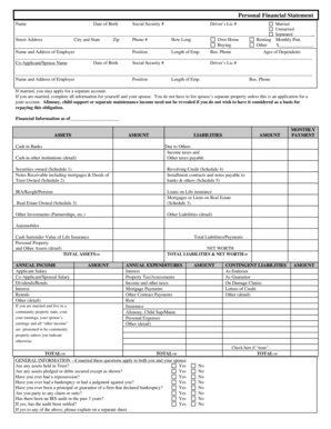 Personal Financial Statement Form