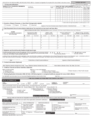 Illinois Free and Reduced-Price Meal Application