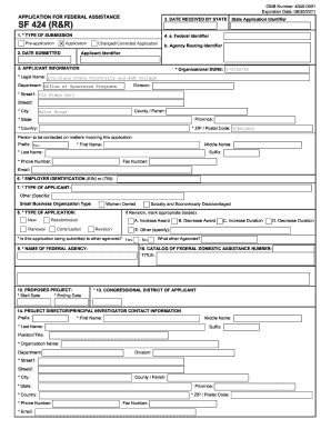 Federal Assistance Application Form SF 424 (R&R)