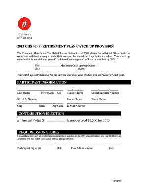 2013 CHS 401(k) Retirement Plan Catch Up Provision