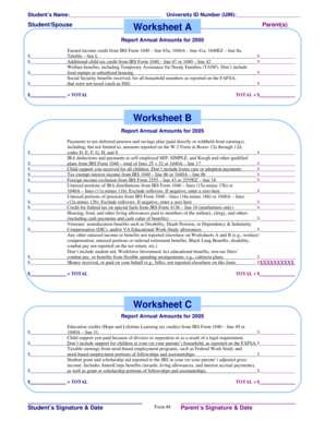 Student Income Worksheet