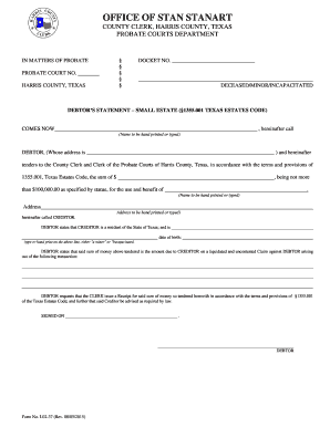 Texas Small Estate Debtor's Statement