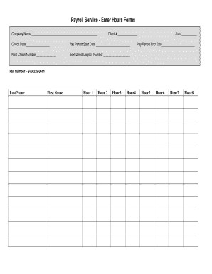 Payroll Service Enter Hours Form