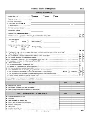 Business Income and Expenses Form ORG19
