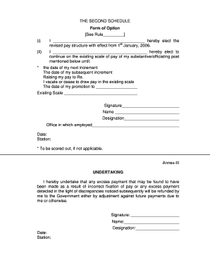 Employee Pay Structure Option Form