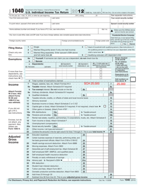 US Individual Income Tax Return 2012