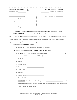 Wyoming Paternity, Custody, Visitation and Support Order