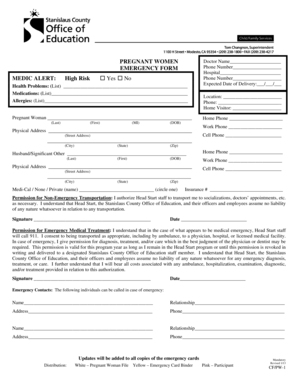 Pregnant Women Emergency Form