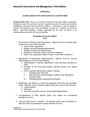 Sample Executive Officer Evaluation Form
