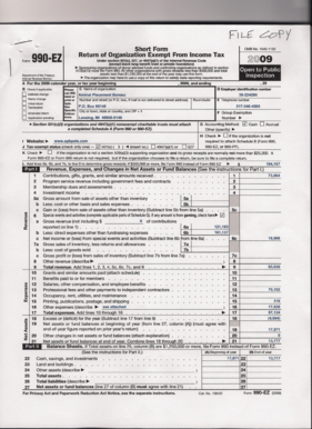 Form 990-EZ 2009