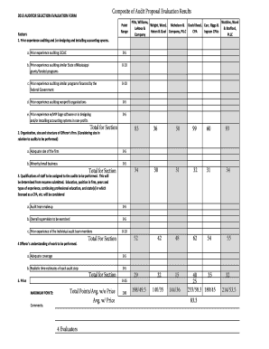 2013 AUDITOR SELECTION EVALUATION FORM Factors