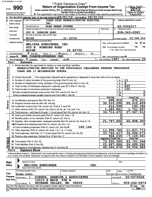 Form 990 Tax Exempt Organization Return