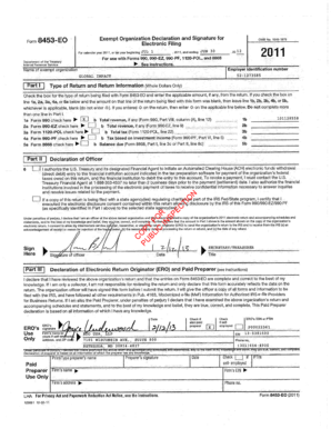 Form 8453E0 Exempt Organization Declaration