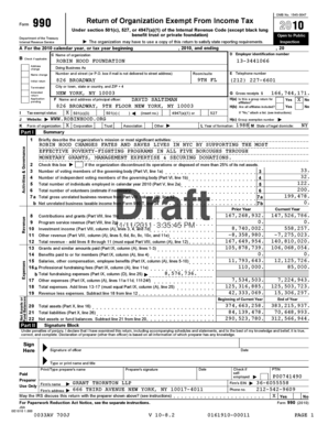 IRS Form 990 2010