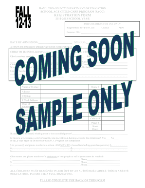 Hamilton County School Age Child Care Registration Form
