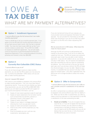 IRS Tax Debt Payment Alternatives