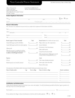 Non-Custodial Parent Statement Form