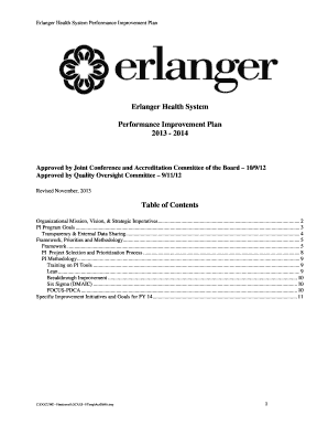 Erlanger Health System Performance Improvement Plan