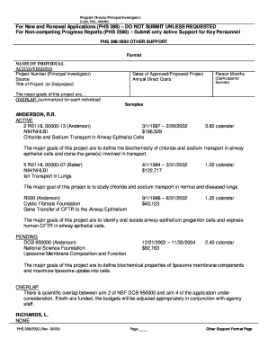 PHS 398/2590 Other Support Form