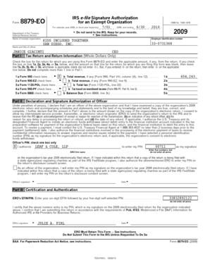 IRS Form 8879-EO Signature Authorization