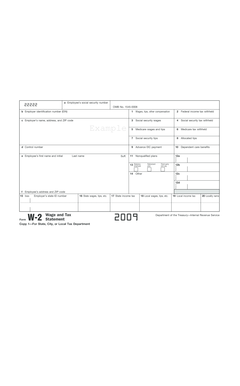 IRS Form W-2