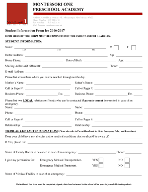 Form preview