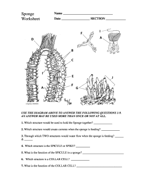 Sponge Worksheet Answers - Fill Online, Printable, Fillable, Blank |  pdfFiller