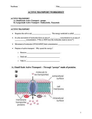 Active Transport Worksheet - Fill Online, Printable, Fillable, Blank