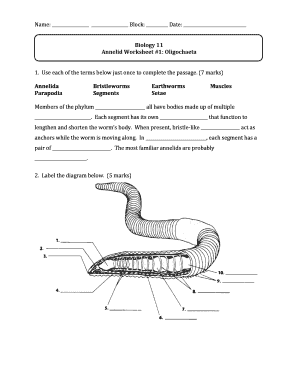 PHYLUM ANNELIDA PDF