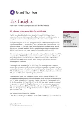 IRS Form 8955-SSA 2009