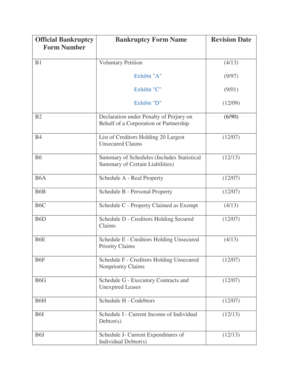 US Bankruptcy Voluntary Petition Form