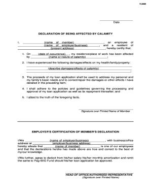 Declaration of Being Affected by Calamity