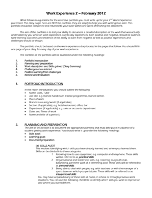 Work Experience Portfolio Template