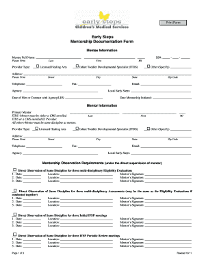 Early Steps Mentorship Documentation Form